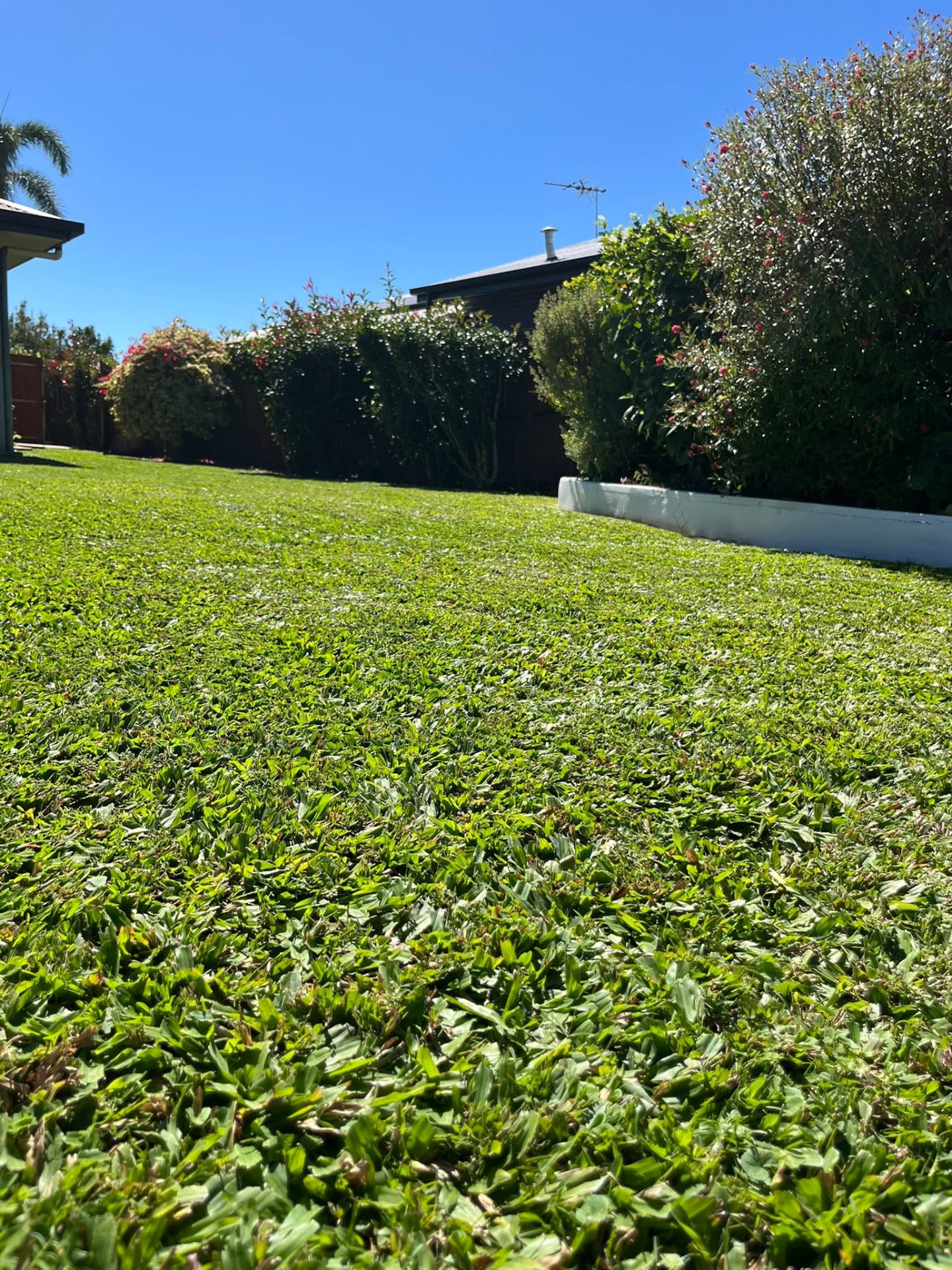 Tidy Mackay backyard with a neatly mowed lawn at dusk