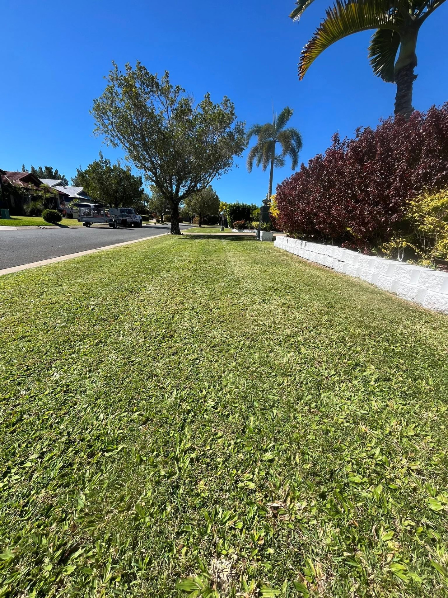 Long striped lawn and nature strip freshly mowed by CJM Outdoor Solutions in Mackay